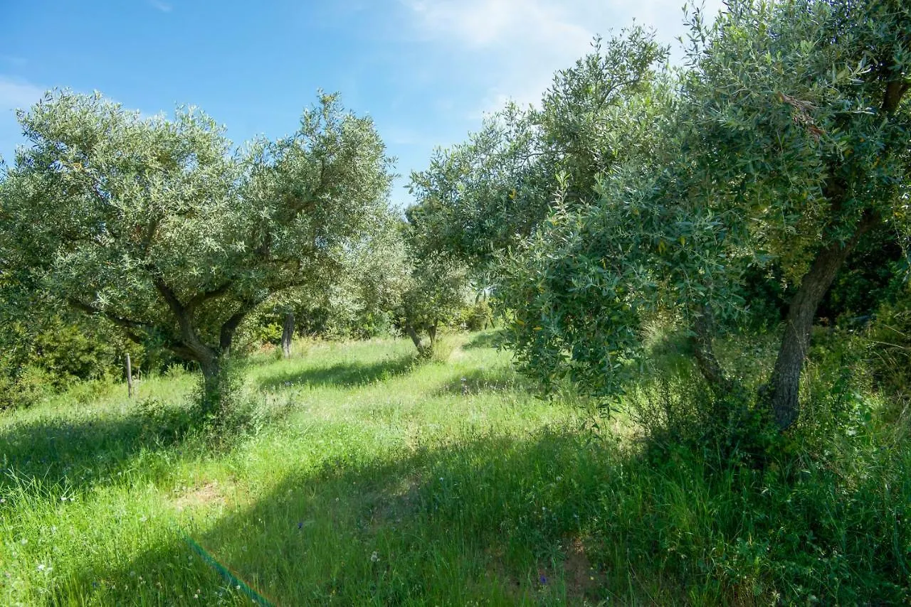 Ferienhaus Villa Avaton Farm Ouranoupoli Griechenland